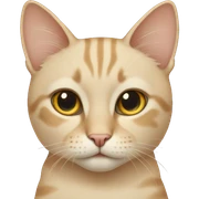 Beige cat  sticker