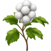 Cotton plant sticker