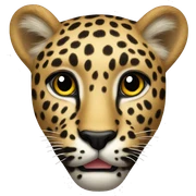 Leopard sticker