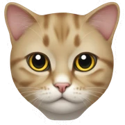 British cat sticker