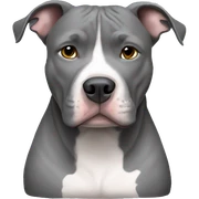 Gray Pitbull laying sticker