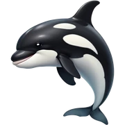 Orca sticker