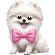 White Pomeranian with pink bow  sticker
