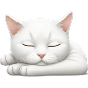 sleeping white cat sticker