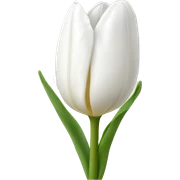 White tulip sticker
