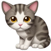 Cat sticker