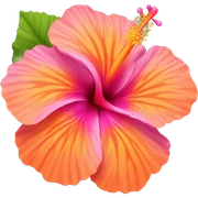 orange pink colored hibiscus  sticker
