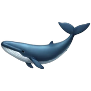 whale sticker