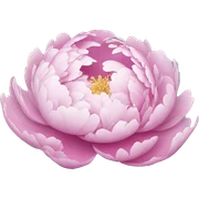 Peony  sticker