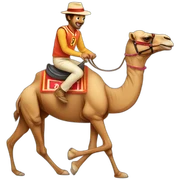 camel racing sticker
