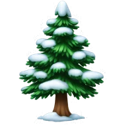 pine tree has snow sticker
