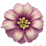 flower sticker