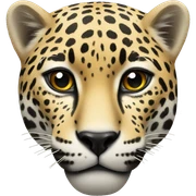 jaguar  sticker