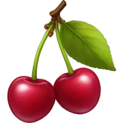 cherry sticker