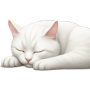 White cat sleeping  sticker