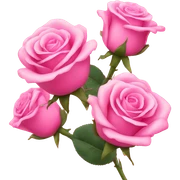 Pink roses sticker