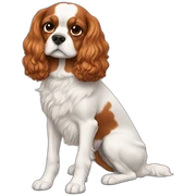 Cavalier sticker