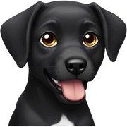Perrito negro sticker