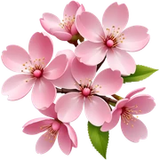 Cherry blossom sticker