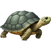 Tortoise  sticker