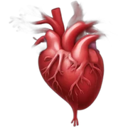 organ arteries sticker