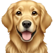golden retriever sticker
