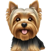 Yorkie sticker