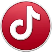 tiktok logo sticker
