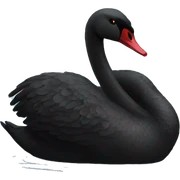 Black swan sticker