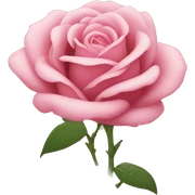 rose flower sticker