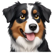 australian shepherd  sticker