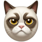 Grumpy cat sticker