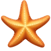 Starfish sticker