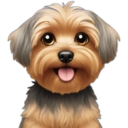 Yorkie poo sticker