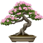 Bonsai sticker