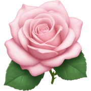Pink sticker