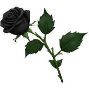 black rose sticker