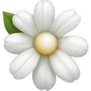 white flower sticker