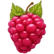 Rasberry sticker