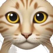 Cat sticker