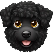 Black dog with curly fur sticker
