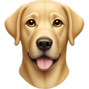 Labrador  sticker