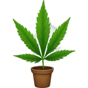 weed sticker