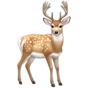 fallow deer sticker