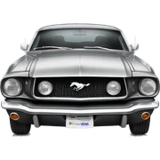 Ford mustang  sticker