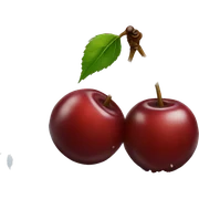 Two cherries, with brown dots, lying in the snow sticker