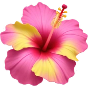 yellow and pink hibiscus flower sticker