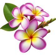 plumeria flower sticker