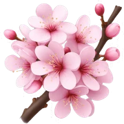 cherry blossom sticker