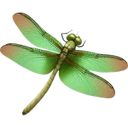 Dragonfly sticker